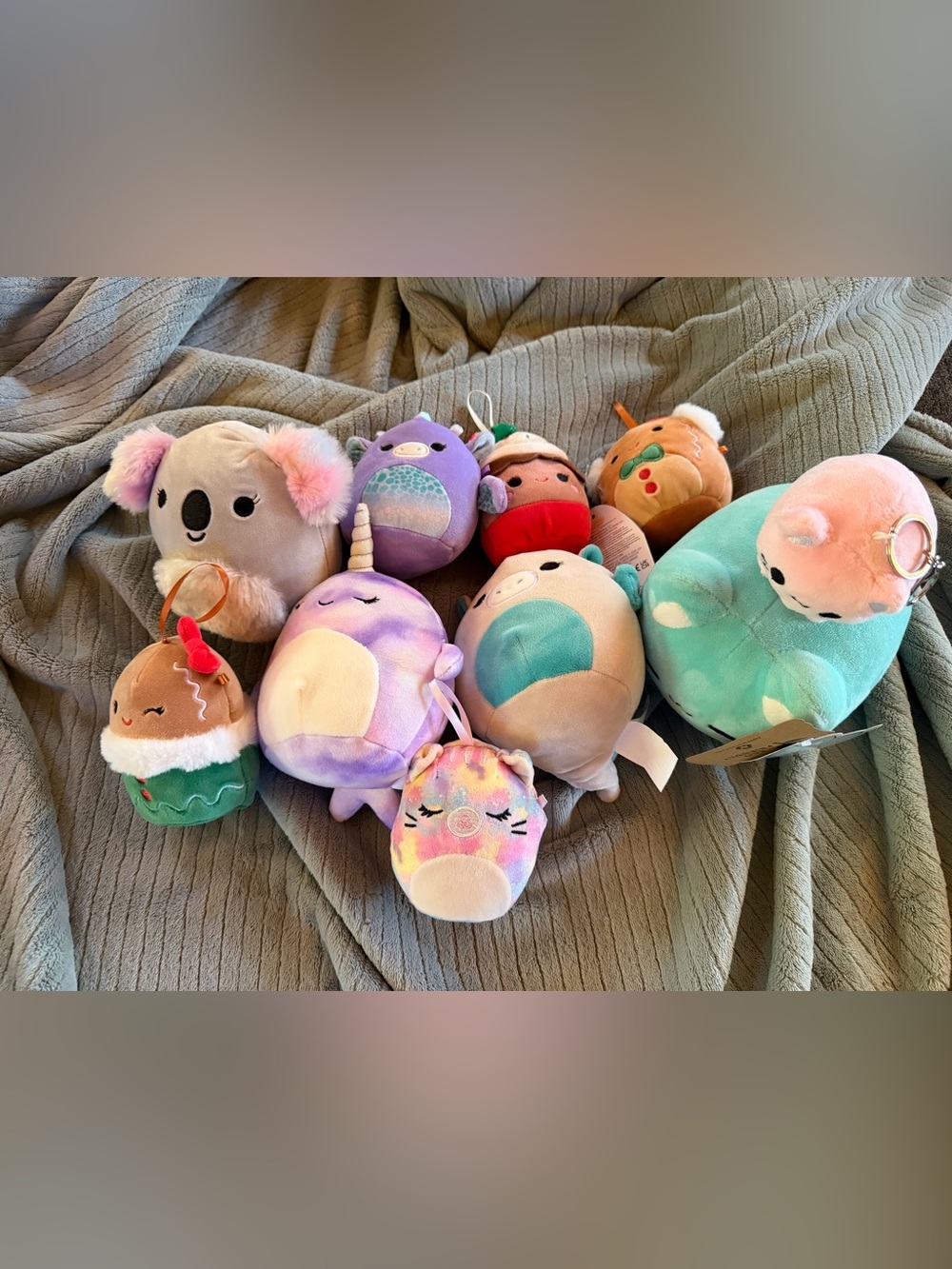 Squishmallows and Cat Plushies Like New